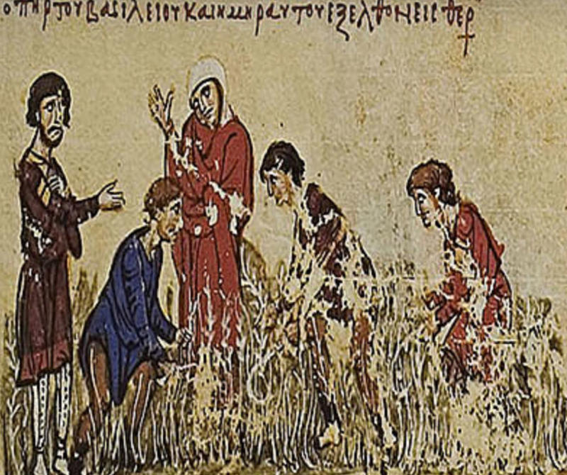 scene from the fields biblioteca nacional de espana codex vitr 26 2 madrid skylitzes fol 82v facsimile edition edited by agamemnon tselikas athens militos