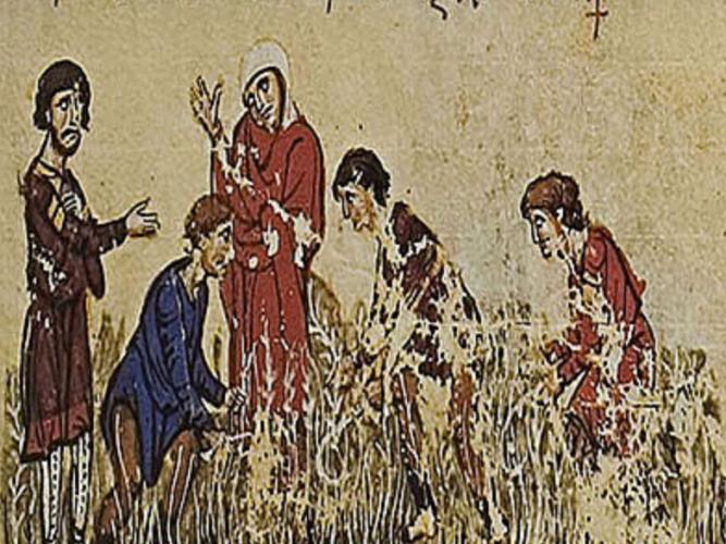 scene from the fields biblioteca nacional de espana codex vitr 26 2 madrid skylitzes fol 82v facsimile edition edited by agamemnon tselikas athens militos