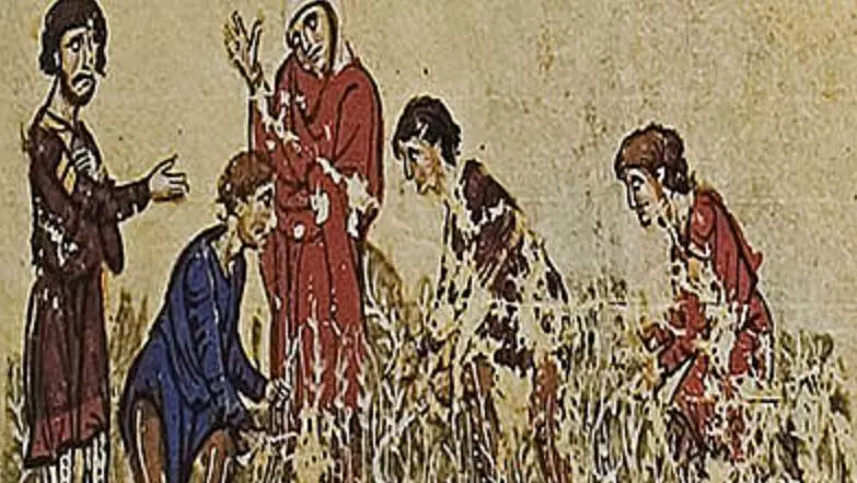 scene from the fields biblioteca nacional de espana codex vitr 26 2 madrid skylitzes fol 82v facsimile edition edited by agamemnon tselikas athens militos