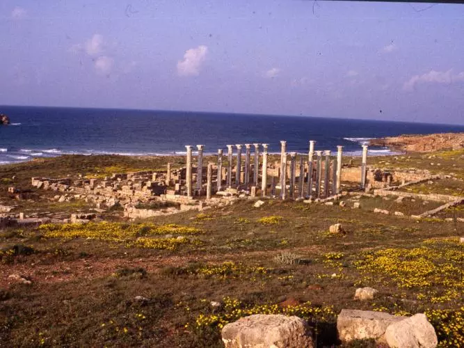 wilson collection libya apollonia eastern church general view from byzantine palace facing ne aiw 120496 andrew wilson heir