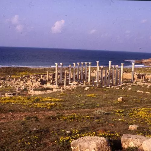 wilson collection libya apollonia eastern church general view from byzantine palace facing ne aiw 120496 andrew wilson heir
