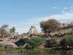 elephantine ross burns manar al athar