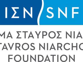snf logo